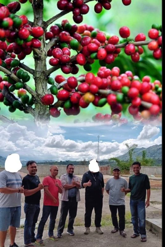 Krisis Kepercayaan, Jalinan Kerjasama Kontrak Kopi Gayo Sebanyak 5.000 Ton Terancam Gagal